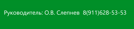 Руководитель: О.В. Слепнев  8(911)628-53-53